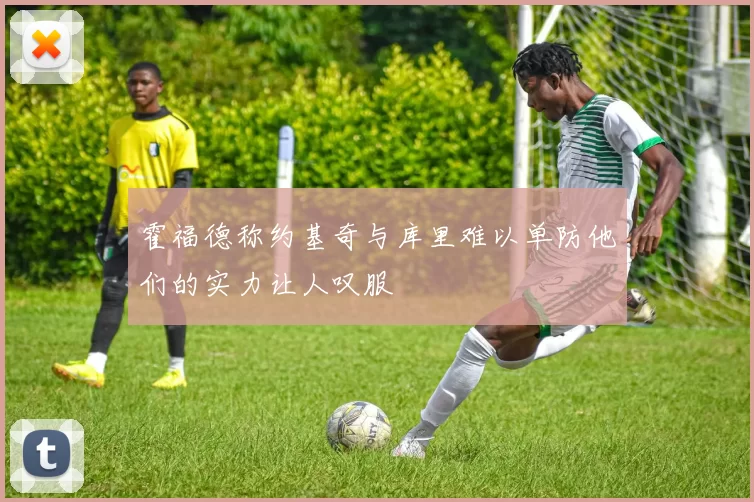 霍福德称约基奇与库里难以单防他们的实力让人叹服